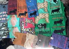 Load image into Gallery viewer, Mystery Tees
